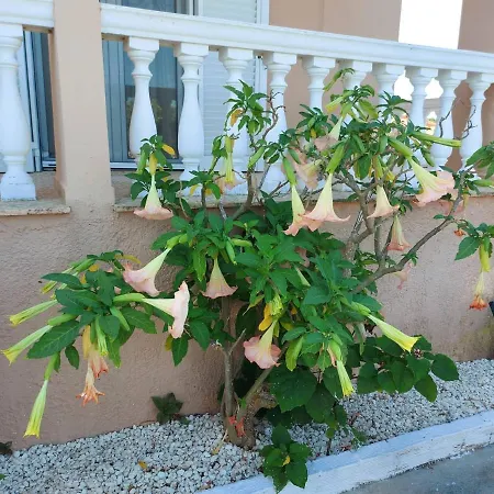 Σπίτι διακοπών Meliti